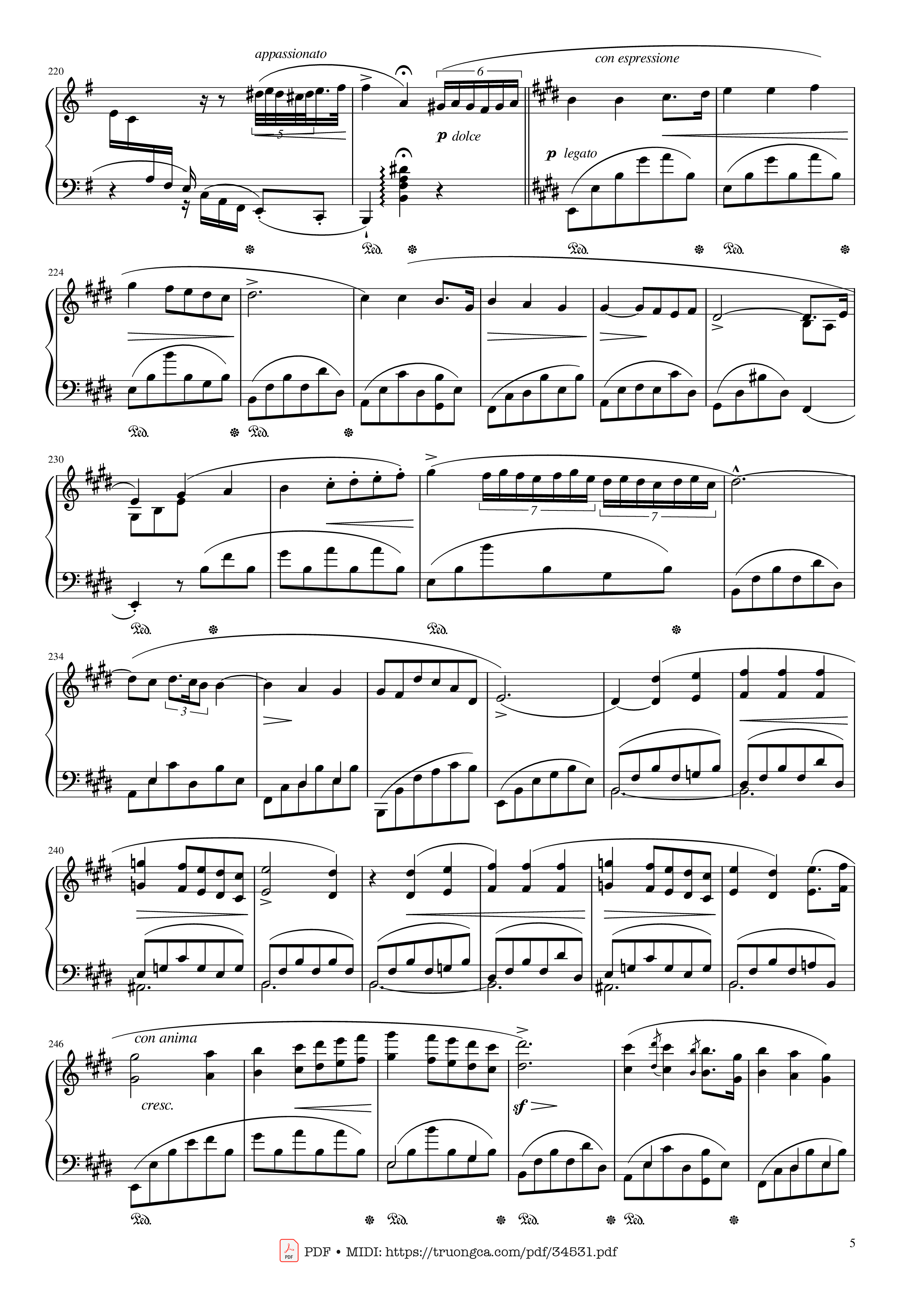 Page 5 of the piano sheet music PDF Piano – Chopin Concerto No.1, Op.11, Allegro Maestoso Piano by Frédéric Chopin