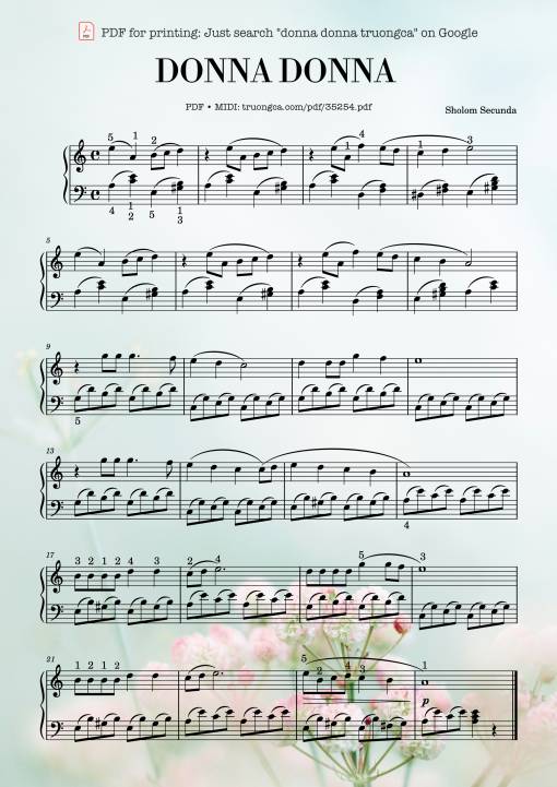 Donna Donna Piano EASY