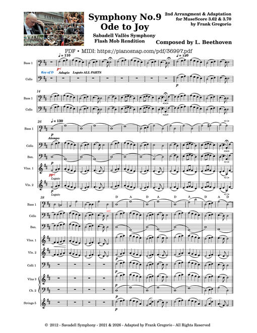Symphony No.9 Ode to Joy, Flash Mob Rendition