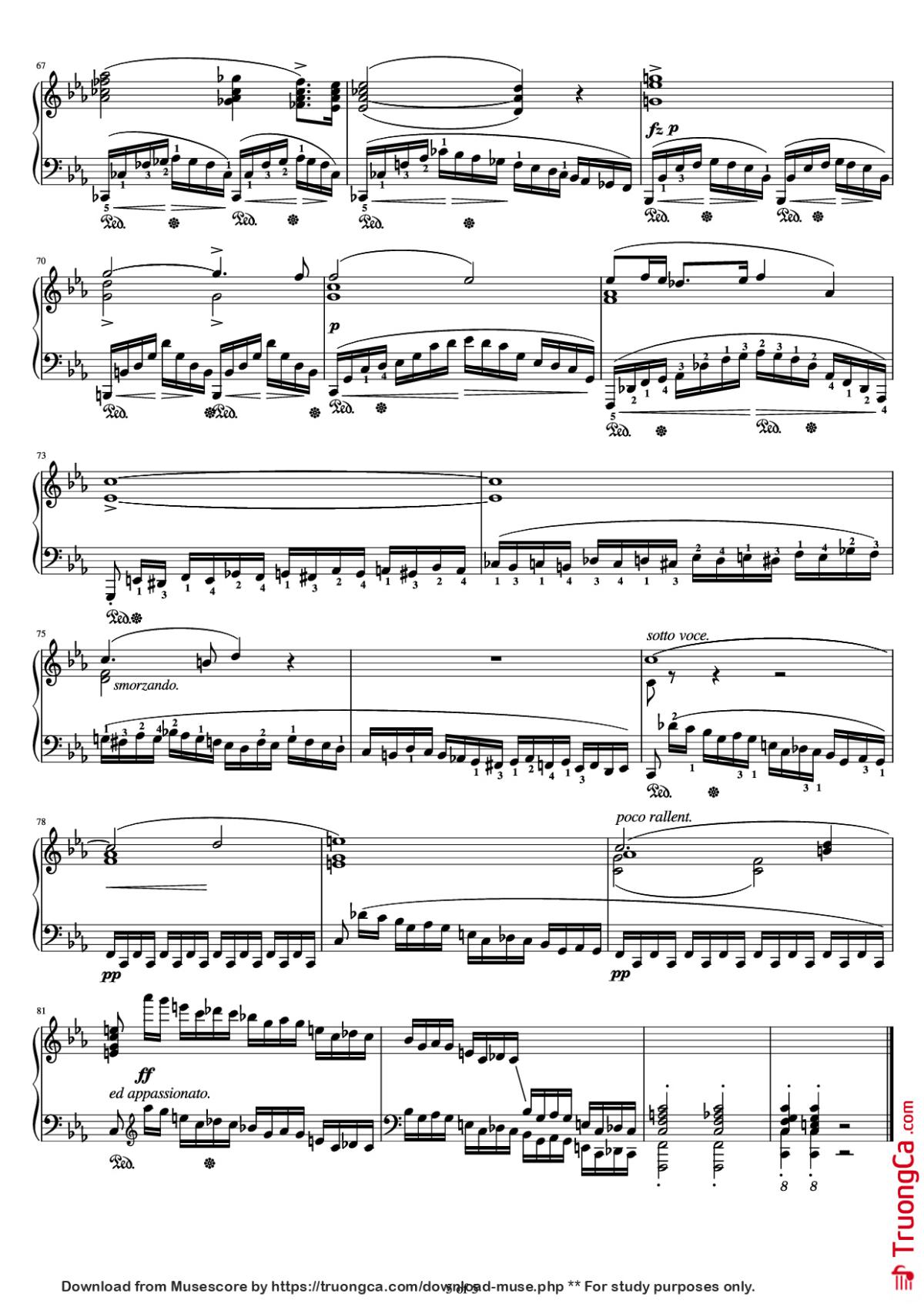 Page 5 of the piano sheet music PDF Piano – Etude Op.10 No.12 Revolutionary by Frederic Francois Chopin